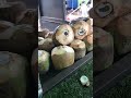 GHANA STREET  FOOD BELOW $1/ Fresh Coconut Water Roadside Stall Street Food