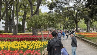 ガーデンネックレス2021横浜 横浜公園 チューリップ 2021.04.04 神奈川県横浜市 横浜スタジアム周辺