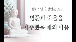 [음성] 병듦과 죽음을 마주했을 때의 마음ㅣ일묵스님ㅣ초기불교 제따와나선원 수행법담 229.