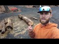 #466 I BOUGHT a Mini EXCAVATOR... Here's Why