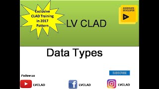 LabVIEW CLAD-Data type and Data Coercion