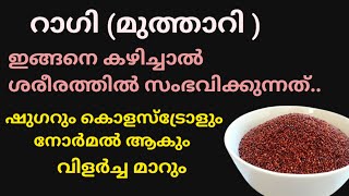 റാഗി ഇങ്ങനെ കഴിച്ചാൽ ശരീരത്തിൽ സംഭവിക്കുന്ന അത്ഭുതമാറ്റങ്ങൾ,ഷുഗറും കൊളസ്ട്രോളും കുറയും.#Ragi,#health