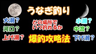 うなぎ釣り。どの場所でいつ釣れるか、爆釣攻略法2022年最新版