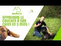 APPRENDRE LE COUCHER A SON CHIEN EN 3 MINUTES !!!