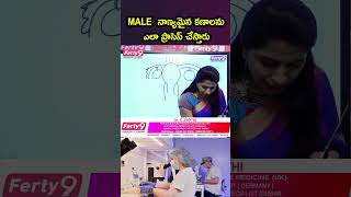 MALE నాణ్యమైన కణాలను ఎలా ప్రాసెస్ చేస్తారు