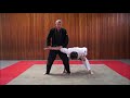 ju jutsu master serie 107 – bauchstreckhebel hara gatame