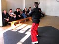 functional kenpo