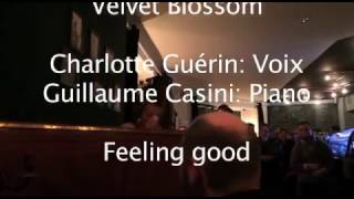 Velvet Blossom-feeling good