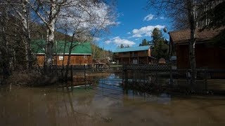 CBC News Vancouver: Most residents of evacuated Tulameen, B.C., homes allowed to return