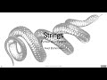 Python for Linguists:   Lesson 2 - Strings
