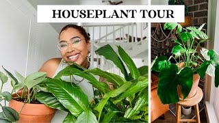 2022 Summer HOUSEPLANT TOUR  🌿 Monstera, Fiddle Leaf Fig, Peace Lily, Pothos, Rhaphidophora + more!