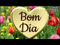 Bom dia! Deixe Deus guiar teu caminhar! Linda mensagem de Paz!