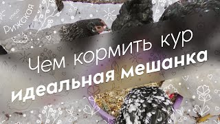 Чем кормить кур 🍽 Идеальная мешанка