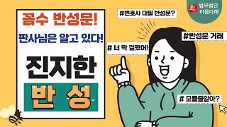 꼼수반성문 : 판사님은 알고 있다!! [진지한 반성이란?]