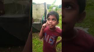 സത്യായിട്ടും ഞാൻ എടുത്തിട്ടില്ല#comedy#shorts#😜😜😜🤣🤣