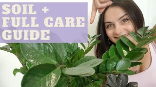 ZZ plant care tips for BEGINNERS | ZZ PLANT NOT GROWING? Use THIS soil!
