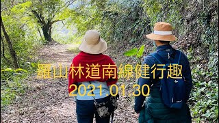 老翁退休遊記：羅山林道南線健行趣.  2021.01.30