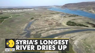 Syria: Historic drought devastates the country's breadbasket | WION News | Latest English News