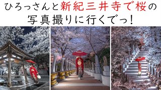 【プロの撮り方】全て教えます！紀三井寺新スポで桜の写真撮りに行くでっ！