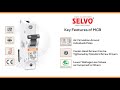 selvo miniature circuit breaker mcb