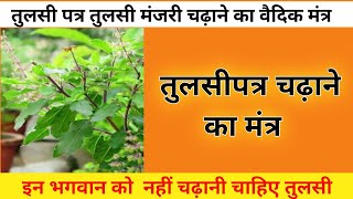 #tulshi#patra#chadhane#ka#mantra. शालिग्राम भगवान को तुलसी पत्र चढ़ाने का मंत्र।