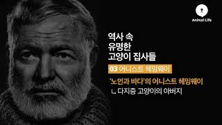 고양이를 사랑한 역사 속 유명인들 [애니멀TV]