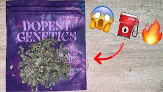 The Dopest Genetics “Micros” Review⛽️😱