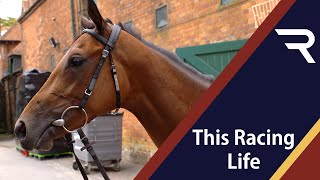 This Racing Life - Juddmonte Stallions inc Kingman & Expert Eye and a guide to Irish Barrier Trials