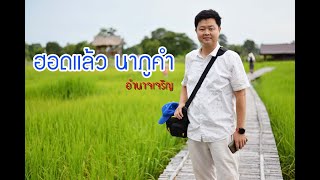 นาภูคำ - Home stay ที่พักบรรยากาศทุ่งนา