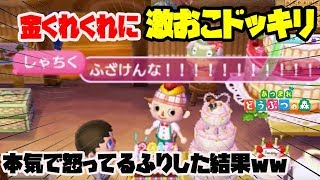 【とび森】オン島に行ったら金くれ・モノくれに出会ったので本気でキレてるふりをした結果ww 衝撃な反応がww【あつ森】【あつまれどうぶつの森】