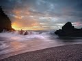 ziggy marley beach in hawaii