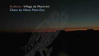 Pure Nature / Le Chant du hibou Petit-Duc / Village de Montréal, Ardèche