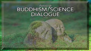 Hidden Assumptions in the Buddhism and Science Dialogue: An Interview with David McMahan