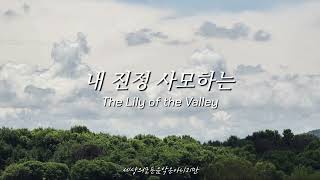 [30분 한곡반복] 내 진정 사모하는 | The Lily of the Valley | ccm연주