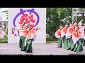 4k 高知学生 旅鯨人　犬山踊芸祭 2023 日曜日 中央