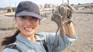 大风天海蛎场海鲜扎窝，渔妹找海蛎撞见章鱼群，今天赚大了呀