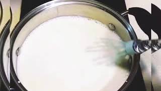 ☆生酮無糖優格☆Keto Yogurt ☆