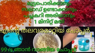 ചോപ്പർ വാങ്ങുന്നവർ അറിയേണ്ട കാര്യങ്ങൾ | 1 മിനിറ്റിൽ പച്ചക്കറികൾ അരിയാൻ | Chopper Review In Malayalam