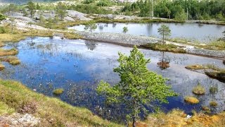 From Leirfjorden to Fauske - Norway