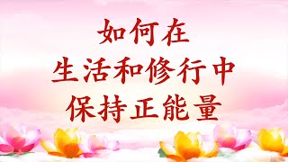 卢台长【节目录音+字幕】如何在生活和修行中保持正能量