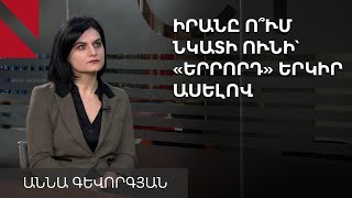 Հայ-ամերիկյան համաձայնագիրը Իրանի համար ընկալելի գործընթաց է. Աննա Դավթյան-Գևորգյան