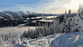 Powder King in British Columbia: Trees and Powder [4k]