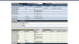 Preparing Clinical Trial Data for Reporting and Analysis