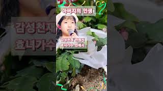 #빈예서 효녀가수 아버지의인생 곡