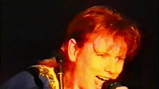 David Bowie - Tribute Bands 1990's - Ziggy Mania / Glam Tasting / Jean Genie