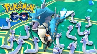 Pokémon Go HK#33 迷你龍+鯉魚王大巢穴! 輕鬆進鯉魚龍! Dratini Largest Nest