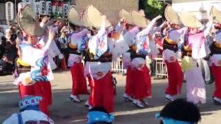 2016　天満天神阿波おどり「南大阪連」