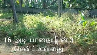 எல்லுவிலையில் 3 சென்ட் இடம் விற்பனைக்கு உள்ளது | LAND FOR SALE IN   ELLUVILAI  3 CENT