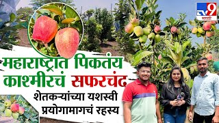 Junnar Apple Farming | जुन्नरच्या शेतकऱ्यांचा नादच खुळा, Kashmir Apple थेट जुन्नरच्या मातीत | tv9