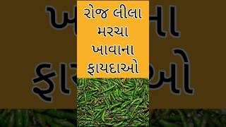 લીલા મરચા ખાવાના ફાયદાઓ | શા માટે રોજ ખાવું જોઈએ મરચું | #મરચા | #લીલામરચા | #youtubeshorts #shorts